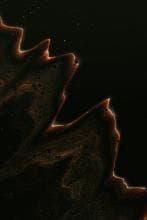 NodeHive won Splash Awards 2025 in Switzerland